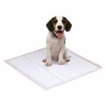PaWz 100 Pcs 60x60 cm Pet Puppy Dog Toilet Training Pads Absorbent Meadow Scent
