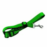 Adjustable Dog Hands Free Leash Waist Belt Buddy Jogging Walking Running Green