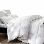 DreamZ 500GSM All Season Goose Down Feather Filling Duvet in Queen Size